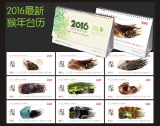 汽車服務系列-6