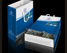 學(xué)校系列-4