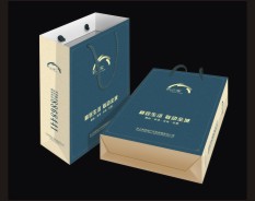 地產(chǎn)宣傳用手提袋